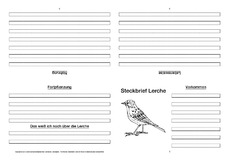Lerche-Faltbuch-vierseitig.pdf